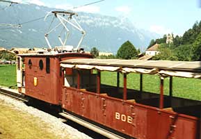 Rostbraun (1998)